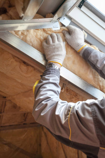 Professional Insulation Contractor in Batesville, TX