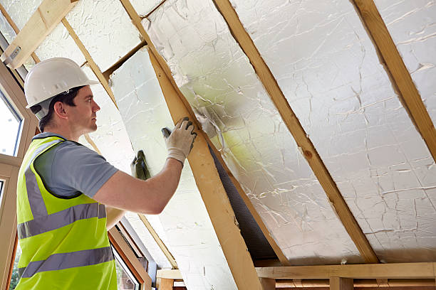 Best Energy-efficient Insulation  in Batesville, TX